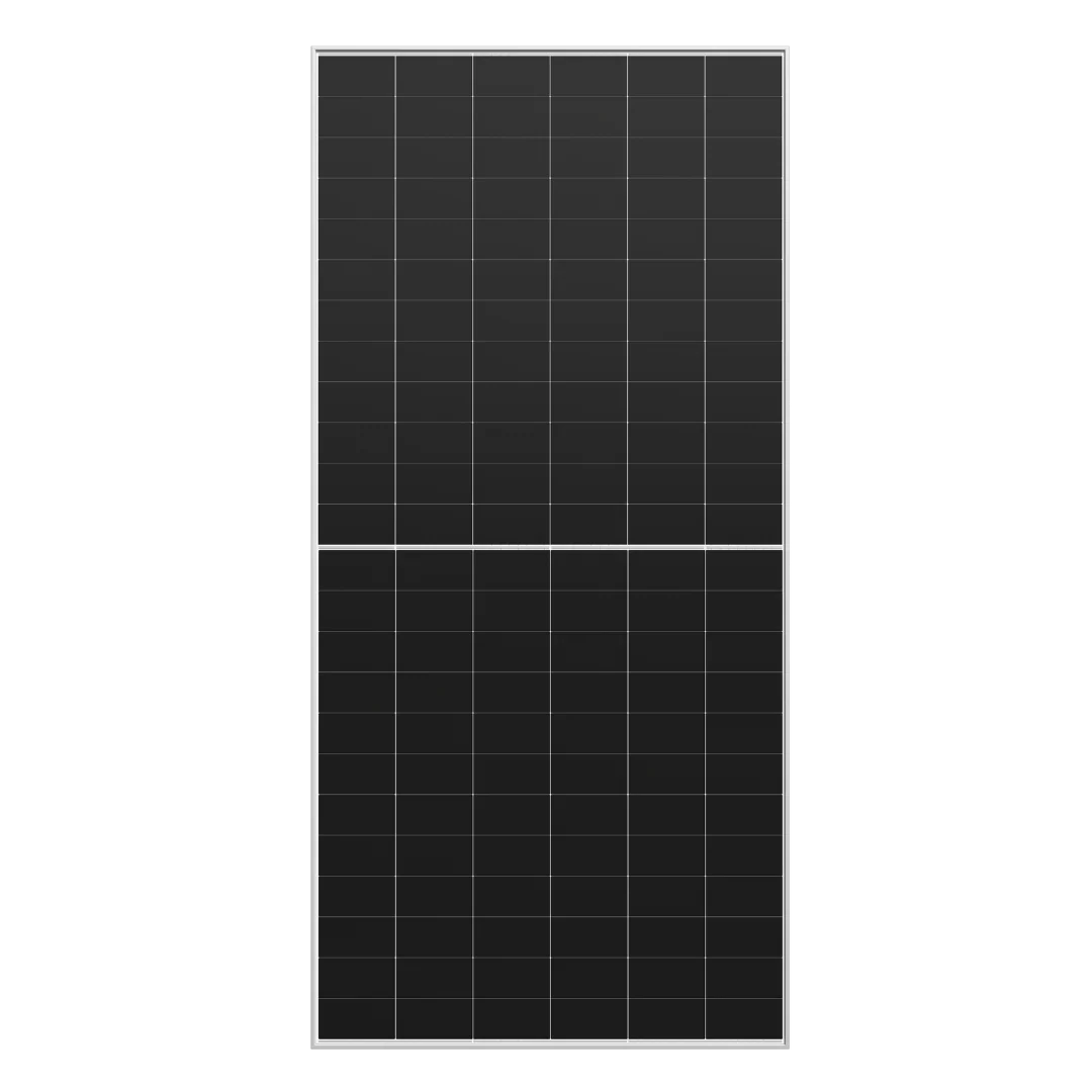 Panou fotovoltaic LONGi 620W bifacial